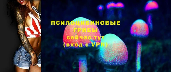 синтетический гашиш Заводоуковск